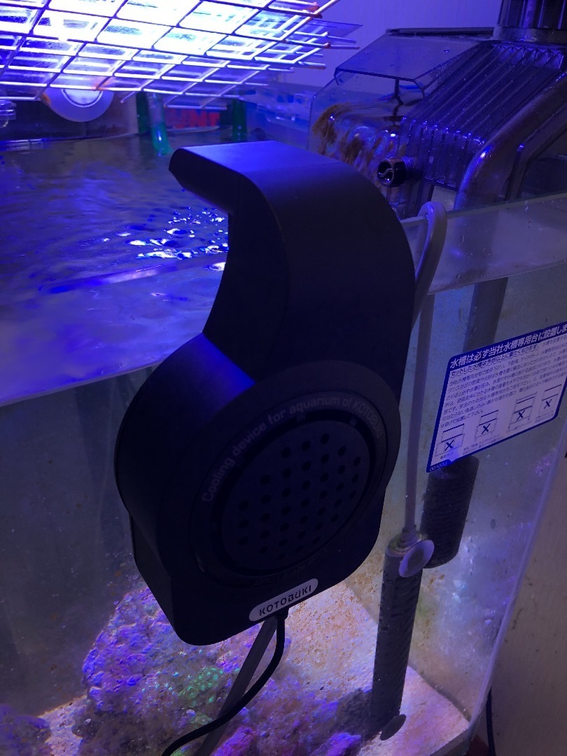 海水魚水槽 抵コストな冷却ファンでの暑さ対策 魚信いざらん らんちゅう アクアリウムブログ
