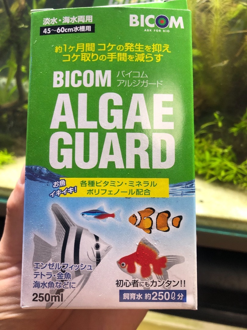 大量のコケの発生にはコレが効く コケから防ぐアルジガード 魚信いざらん らんちゅう アクアリウムブログ